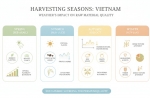 Timing is Everything: Why Vietnam’s Weather Can Make or Break Your Next Home Decor Line
